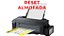 Reset Almofada EPSON L1800: Video Aula + Software Vitalicio - Imagem 1
