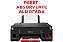 Reset Almofada CANON G3110: Video Aula + Software Vitalicio - Imagem 1