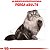 Royal Canin Gato Persa 1,5KG - Imagem 2