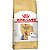 Royal Canin Yorkshire Adulto 2,5KG - Imagem 4