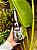 Cerveja - Imagem 1