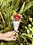 Dona Flor - Imagem 1