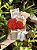Amor em Flor - Imagem 2