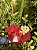Um para o outro - Imagem 1