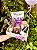 Amora - Imagem 2
