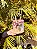 Bag Amigo - Imagem 1