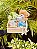Baby - Imagem 2