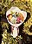 Garden - Imagem 2