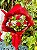 Conquista - Imagem 2
