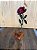 Escultura Beija-flor e Rosa em Ferro (38x15x15cm) - Imagem 5