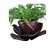 Garden G - Imagem 2