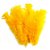 Pena Colorida Amarelo Claro Pacote com 10 - Imagem 1