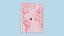 Caderno Inteligente Médio By Gocase Mapa Mundi Rosa 22cm x 15,5cm  R.CIMD3103 Com 80 Folhas (60 Pautadas + 20 Lisas) - Unidade - Imagem 1
