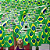 Varal Bandeira do Brasil PVC 4,5m Copa do Mundo c/10 Bandeirinhas - Imagem 1