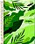 Caderno Espiral 1/8 Capa Dura Sortida Jandaia Eco Linea 14cm x 10cm Com 80 folhas R.69052 Unidade - Imagem 3