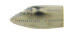 Sucatas - Carcaça de avião comercial - 1/144 - Imagem 6