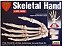 Lindberg - Skeletal Hand - 1/1 - Imagem 1