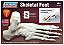 Lindberg - Skeletal Foot - 1/1 - Imagem 1