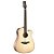 VIOLÃO MALIBU FUJI PLUS MOG COM EFEITO JPLUS 146 - Imagem 1