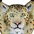 Mesa Lateral de Apoio - Leopardo - Imagem 10