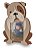 Porta-Retrato Bulldog Decorativo - Au Au - 109074 - Imagem 1