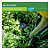 AQUAbox Spayder Cultivo autoirrigavel para canteiros AutoPot - Imagem 2