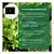 AQUABOX STRAIGHT Sistema de Cultivo Autoirrigavel Capilar para Canteiros Autopot - Imagem 5