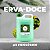 Sabonete Líquido Premisse Erva Doce Suave 5L - Imagem 3