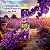 Desinfetante Pinho Bril Campos de Lavanda 500ml - Imagem 2