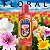 Limpador Perfumado Coala Floral 120ml - Imagem 2