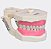 Manequim de Dentística - Orais - Imagem 41