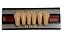Dente Vipi Dent Plus B Anterior Inferior 266 Cor 66 - Vipi - Imagem 21