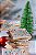 Fibratto Biscoito de Natal 850 g - Imagem 3