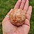 Esfera de Pedra do Sol Natural qualidade Extral 169 Gr 5cm x 5cm | VITALIDADE - Imagem 2