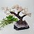 Árvore Quartzo Rosa com Base em Drusa de Ametista - 16cm | 876g - Imagem 1