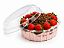 EMBALAGEM GALVANOTEK G34P MINI COLOMBA - Imagem 2