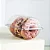 EMBALAGEM GALVANOTEK G23 3 DONUTS CRISTAL - Imagem 3