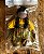 Boneco(a) Menino(a) - Imagem 1