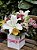 Flowers Box luxo M colorido - Imagem 2