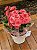 Begonia Holandesa P delicada com cachepot Flower - Imagem 2