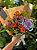 Arranjo Fiori - Imagem 6