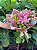 Arranjo De Flores Mistas Tamanho GG - Imagem 3
