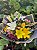 Arranjo De Flores Mistas Tamanho GG - Imagem 2