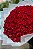 Buquê de 100 Rosas - Imagem 1