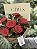 Love Story com 6 Rosas - Imagem 1
