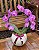 Orquídea Phaleanopsis Rosa + cachepot - Imagem 1
