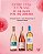 KIT - ENTRE UVAS E VINHOS - Imagem 1