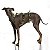Peitoral Whippet/Galgo - Imagem 8