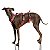 Peitoral Whippet/Galgo - Imagem 6