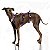 Peitoral Whippet/Galgo - Imagem 7
